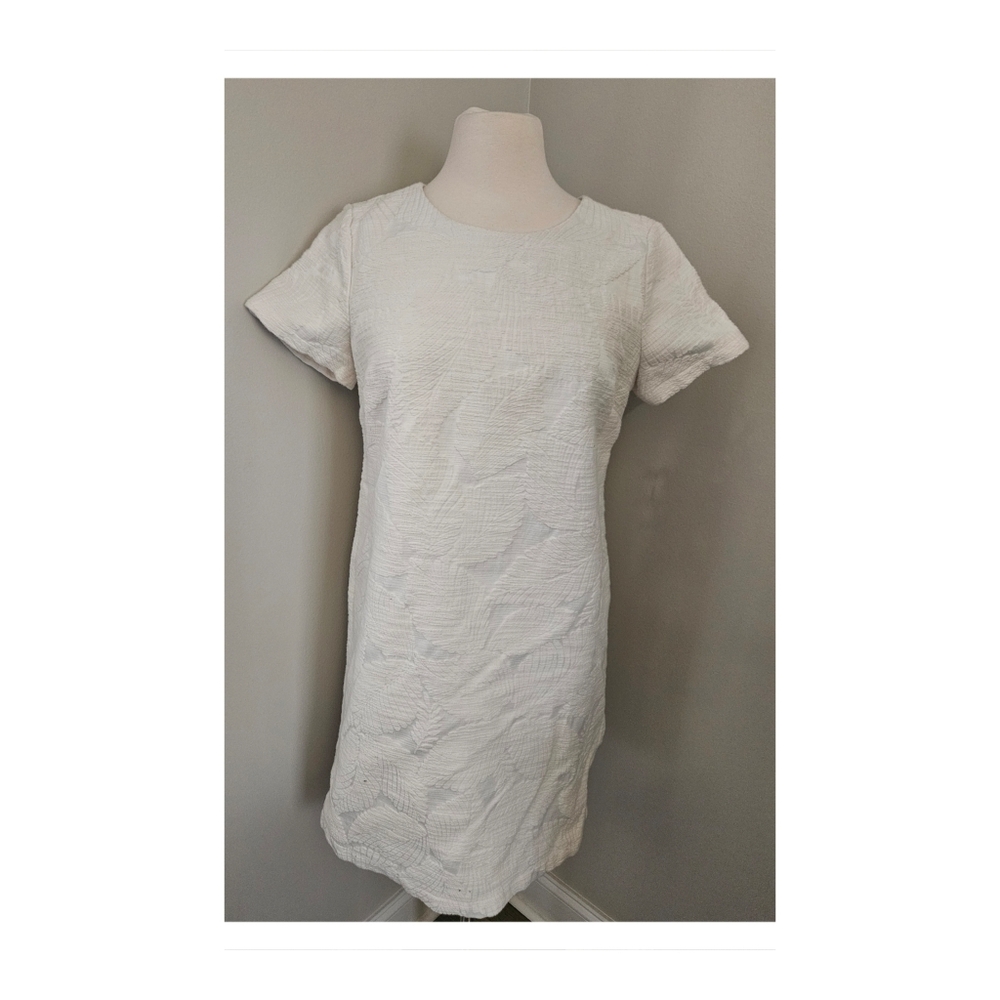 Ann Taylor Ivory Leaf Textured Shift Dress Size 10